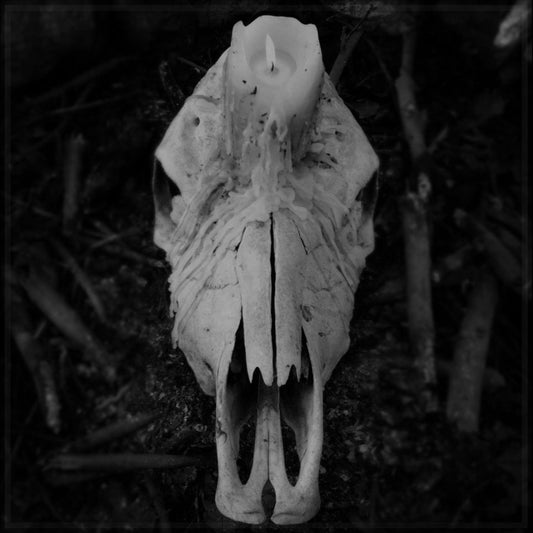 Worsen - Cursed To Witness Life (12" Vinyl)