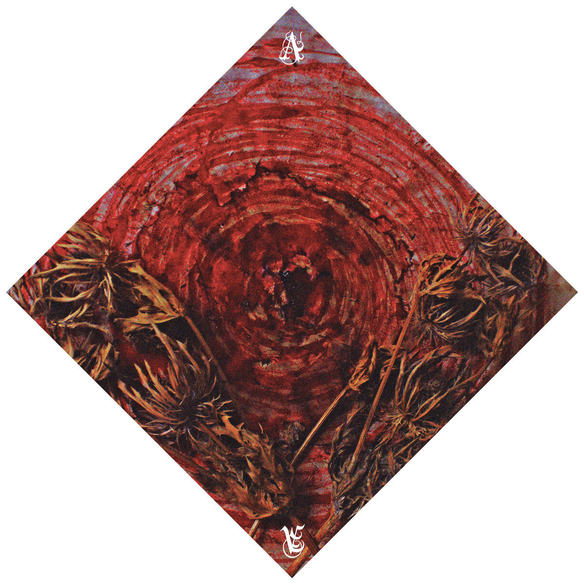 Ainsoph - Affection & Vengeance (Cassette)